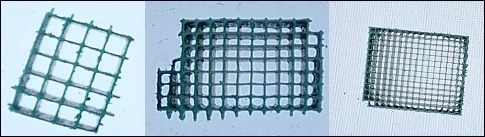 WP2 image2